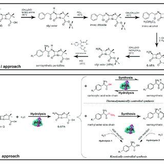 Synthesis of β.